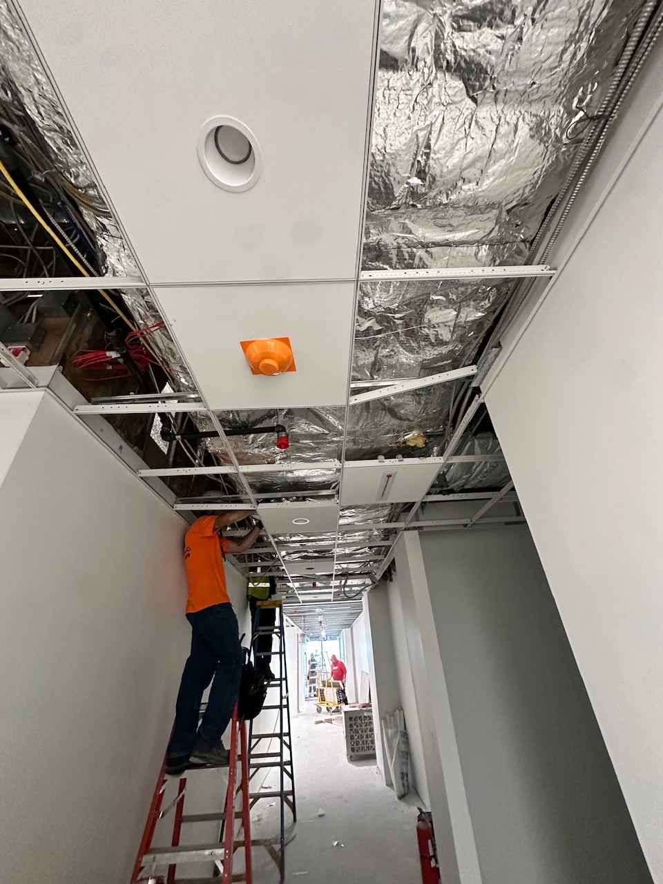 ACT ceiling NJ